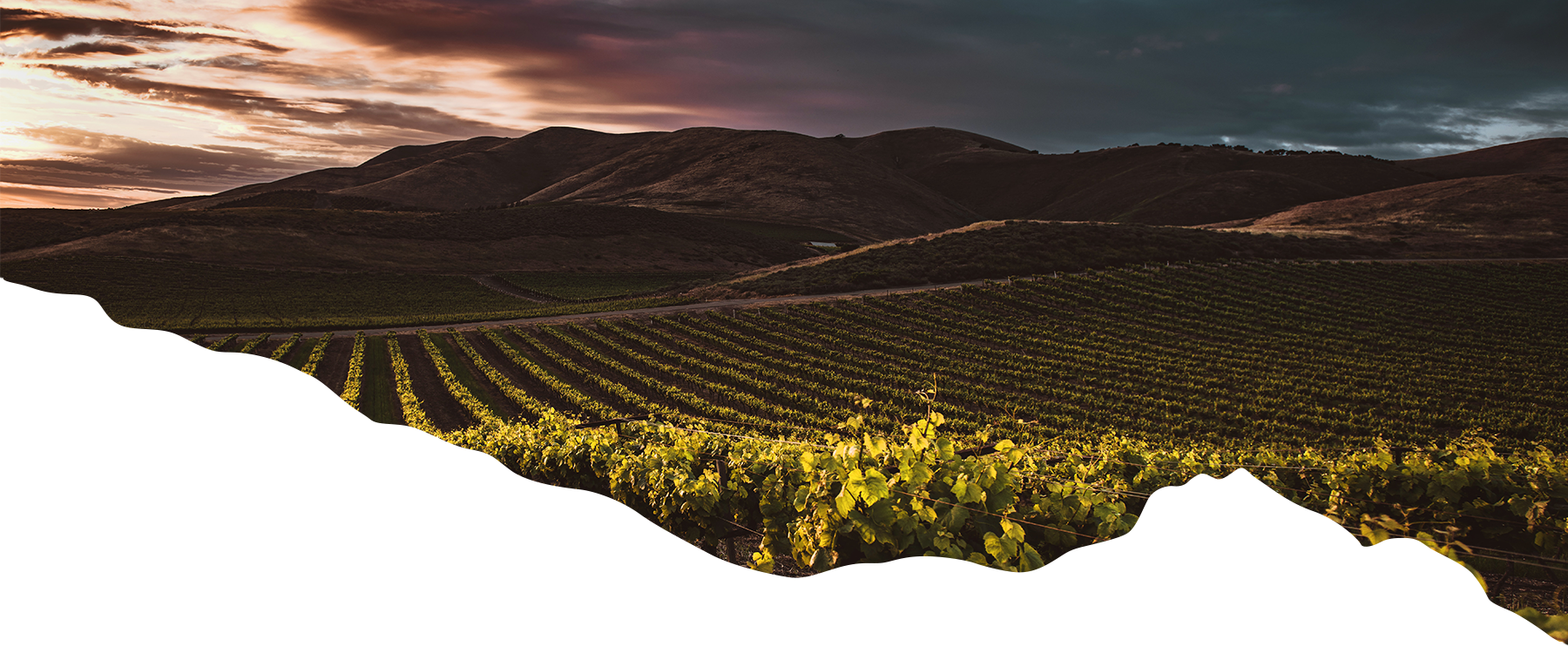 Hillside landscape featured by Lampato