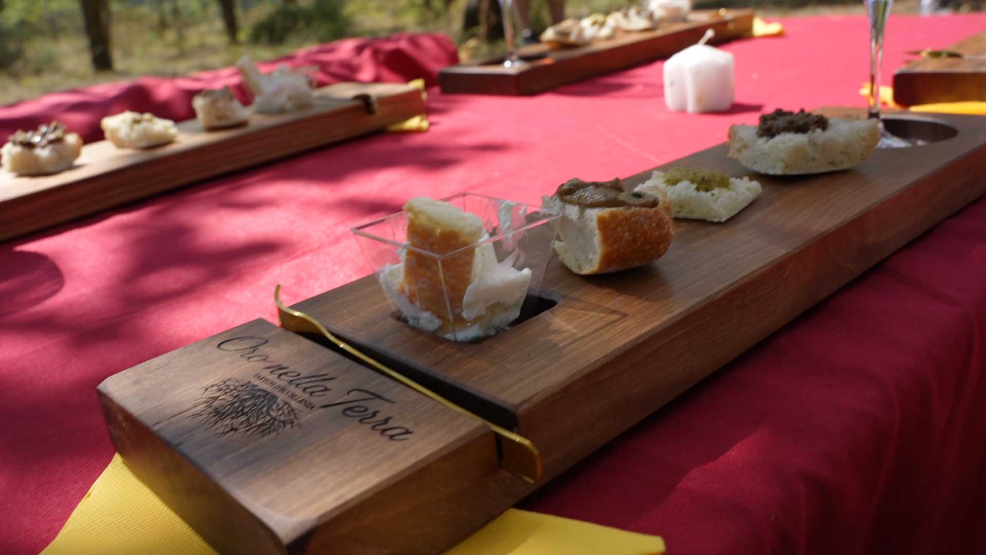 Tasting in the truffle plantation with Oro nella Terra products