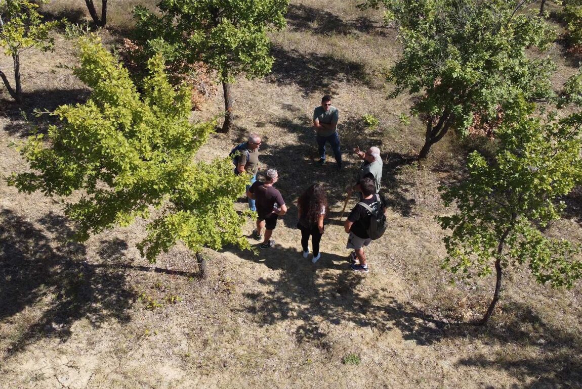 Educational activity in the truffle plantation connected with Oro nella Terra