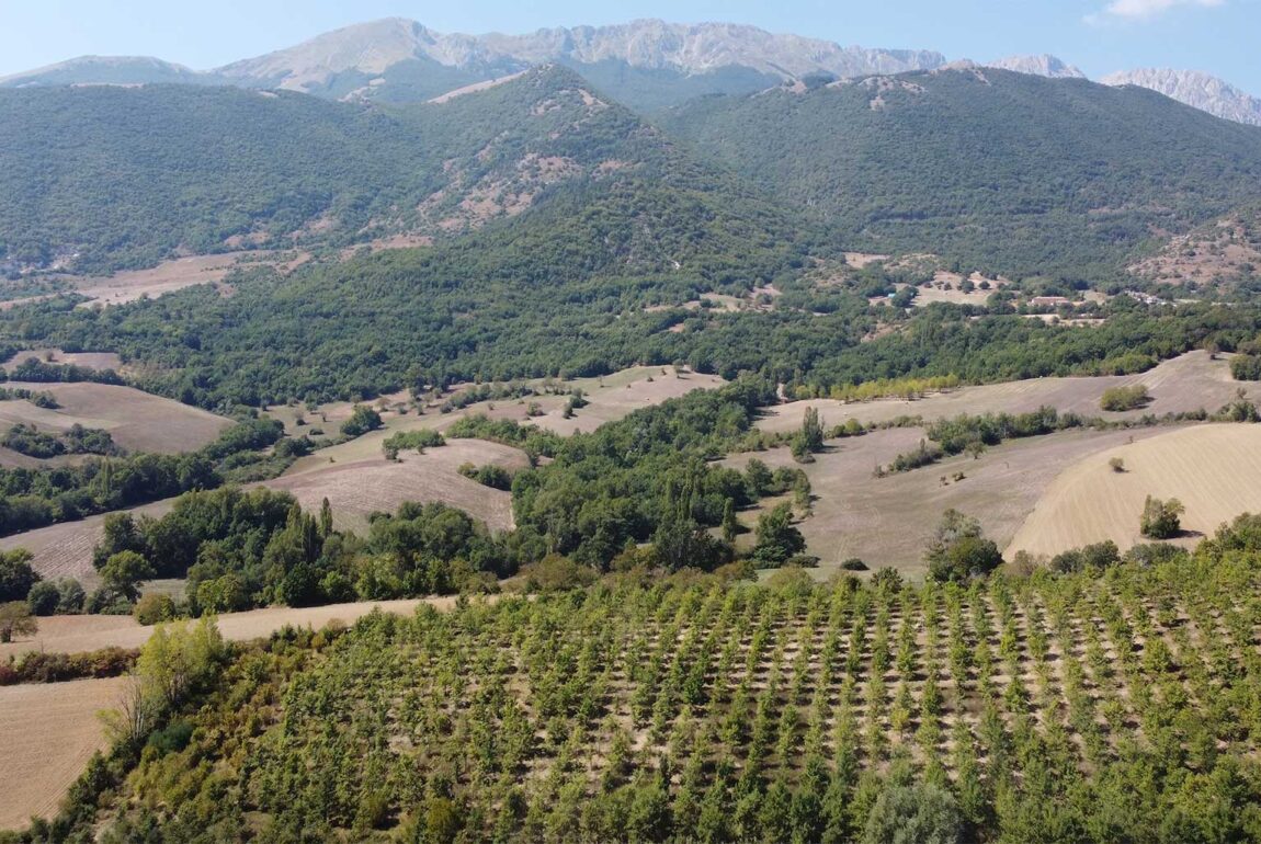 Oro nella Terra truffle plantation in Sirente Velino Park, Abruzzo